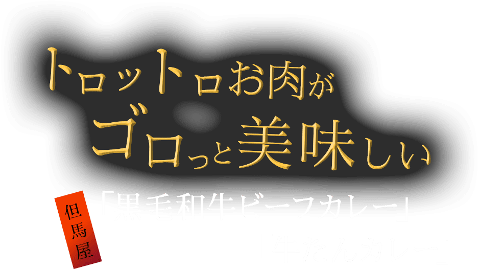 トロットロお肉がゴロっと美味しい 但馬屋「黒毛和牛ビーフカレー」「牛たんカレー」