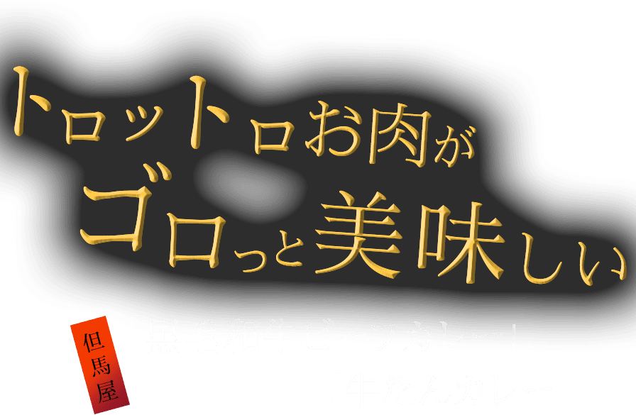 トロットロお肉がゴロっと美味しい 但馬屋「黒毛和牛ビーフカレー」「牛たんカレー」